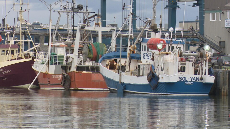 Bateaux de pêche aux crevettes au quai de Rivière-au-Renard.