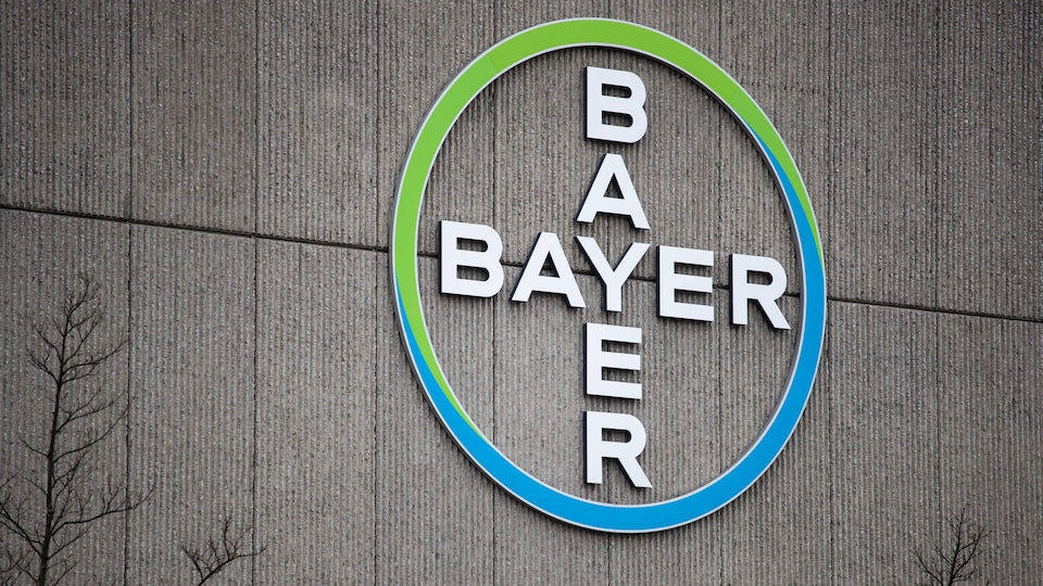Le logo de Bayer de couleur vert et bleu.