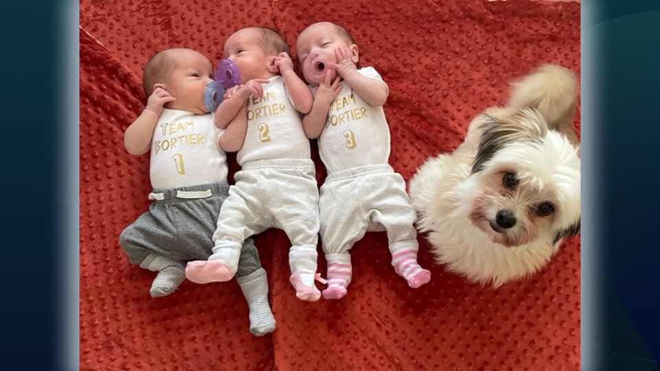 Trois jeunes bébés posent avec un chien.