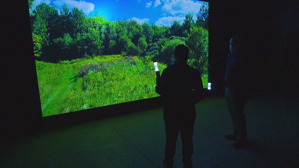 Deux personnes sont plongées dans le noir devant un écran géant qui projette des images d'une forêt.