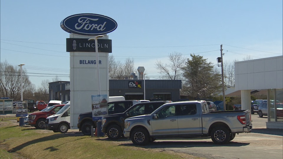 A Ford and Lincoln dealer with several vans parked.