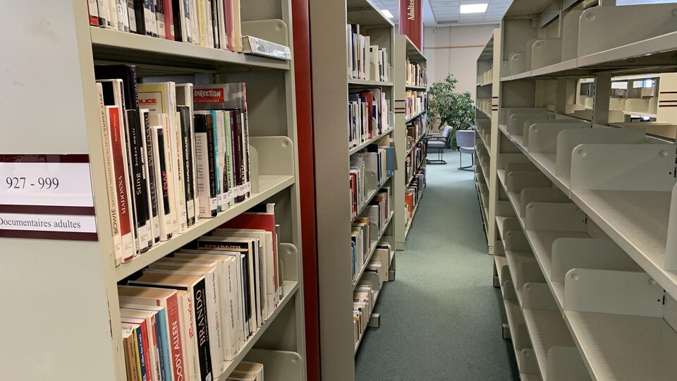 Des rangées de livres dans une bibliothèque.