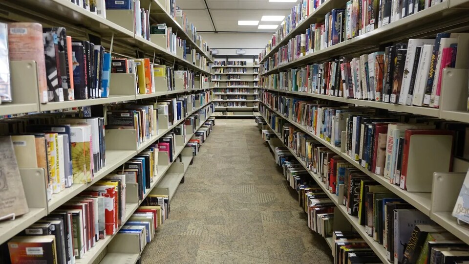 Des rangées de livres dans une bibliothèque.