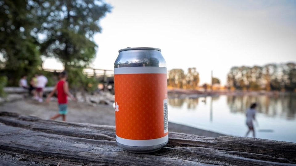 Un canette de bière sur un tronc d'arbre sur une plage.