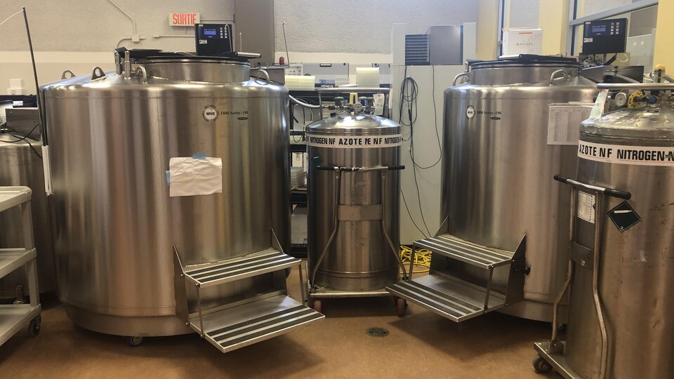 Quatre bonbonnes installées dans le laboratoire de la biobanque.