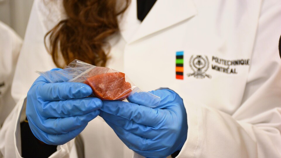Le bioplastique produit dans un laboratoire de Polytechnique