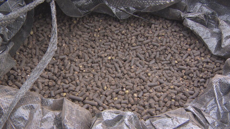 Tusentals små bruna pellets ligger i en svart påse som är öppen.