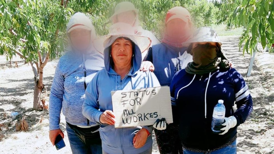 Blanca Islas Perez entourée de travailleuses migrantes au visage flouté, dans un champ.