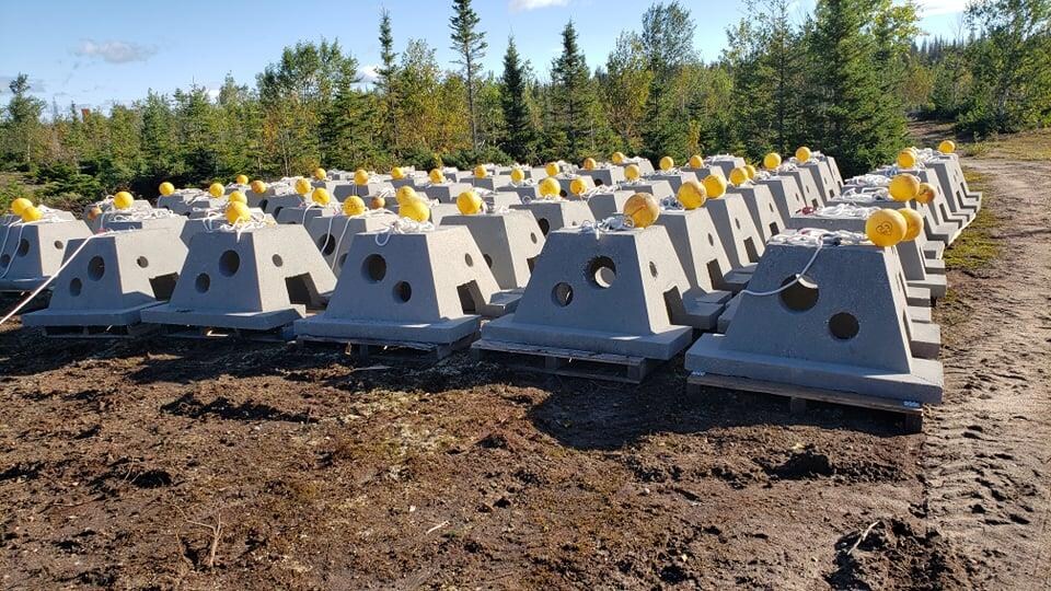 Des blocs de béton en rangées.