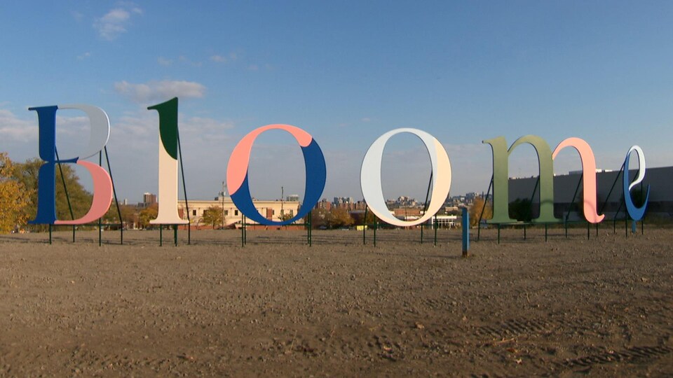 Des lettres hautes d'au moins deux mètres forment le mot «Bloome» sur le terrain vacant situé coin Saint-Jospeh et Montclair.