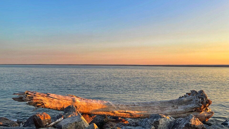 Quand Les Poetes Parlent Du Paysage Radio Canada Ca