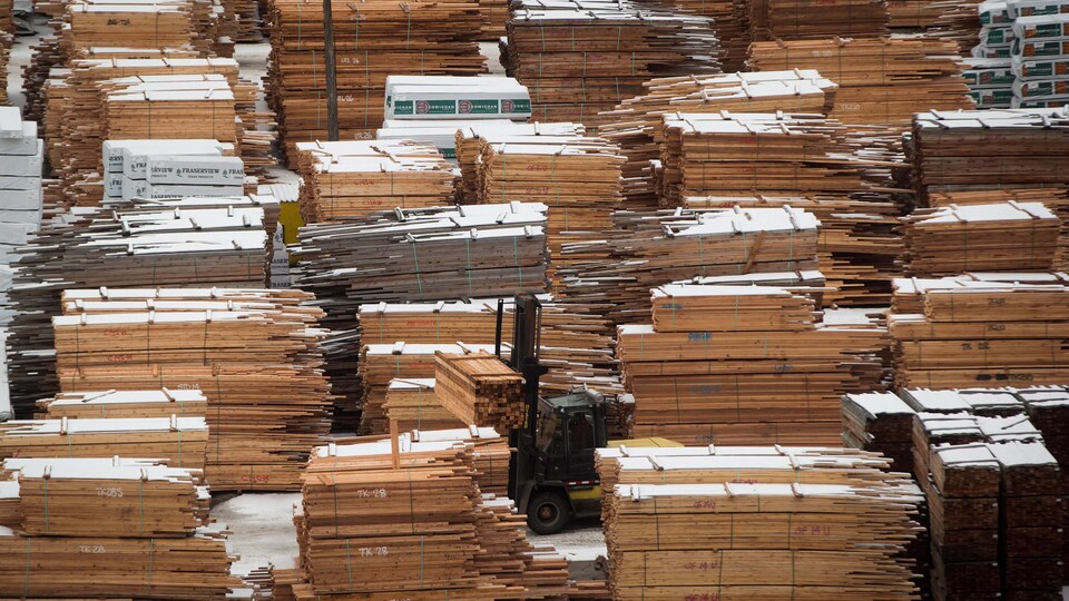 Des piles de bois de construction