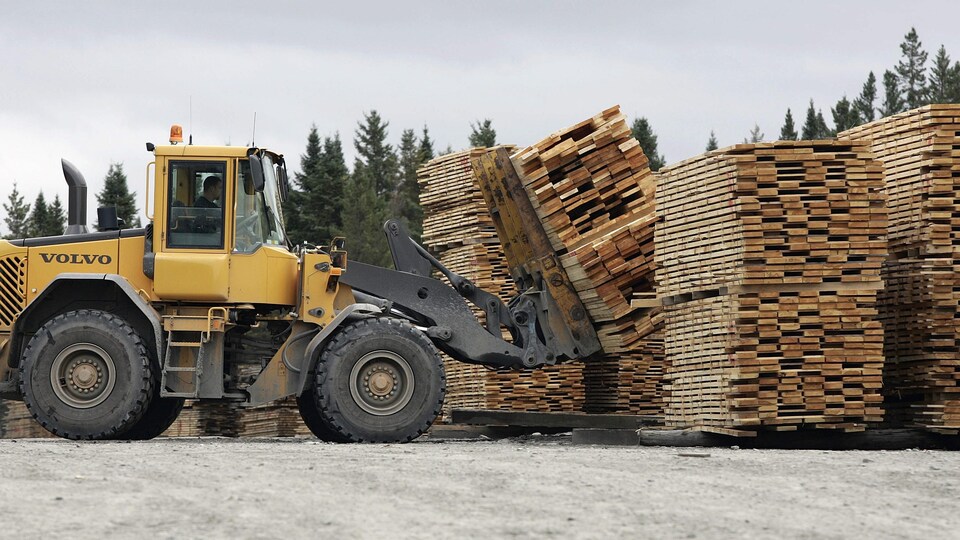 Un homme transporte des palettes de bois le vendredi 14 octobre 2005 à Armstrong, au Québec.