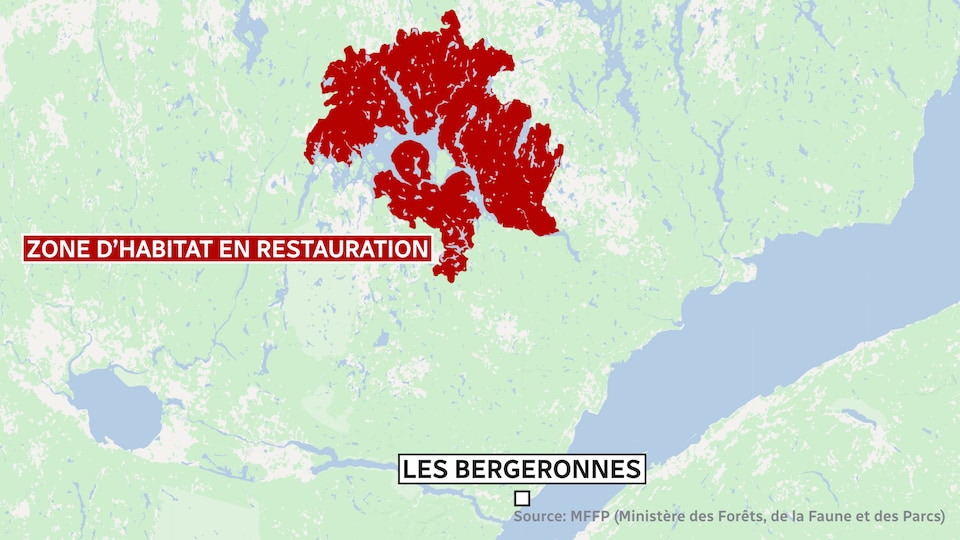 Une carte où on peut voir une partie du territoire de la Côte-Nord et du Saguenay Lac-Saint-Jean en rouge: cette partie pourraient devenir une zone d'habitat en restauration.