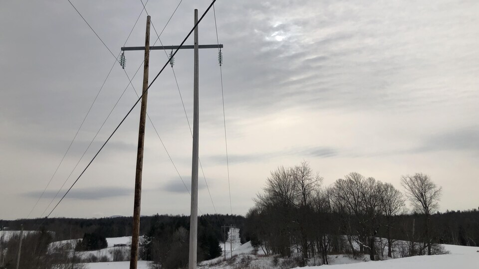 Des poteaux électriques dans un champ hivernal.