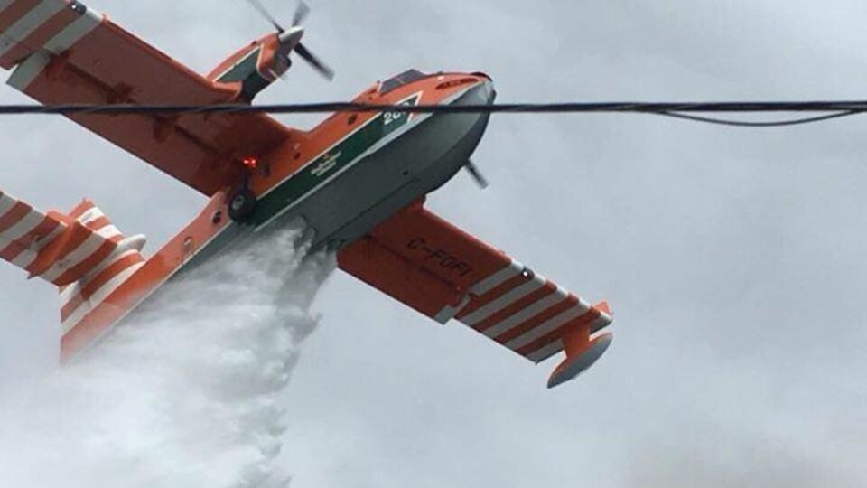 Un bombardier en vol en train de déverser de l'eau.