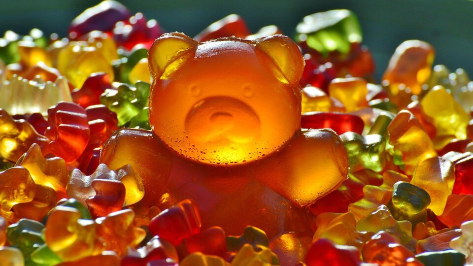 Un gros ourson orange au milieu de dizaines de petits oursons de toutes les couleurs.