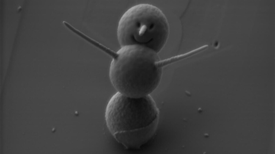 Photo du bonhomme de neige miniature, sourire aux lèvres.