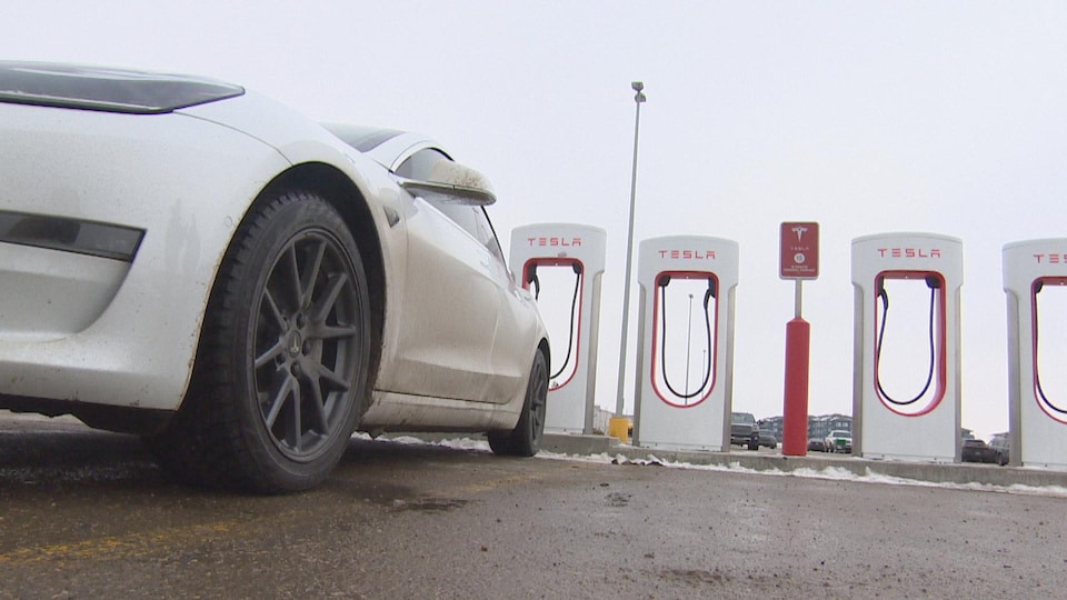 Une voiture blanche devant des bornes de recharge de véhicules électriques de la marque Tesla.