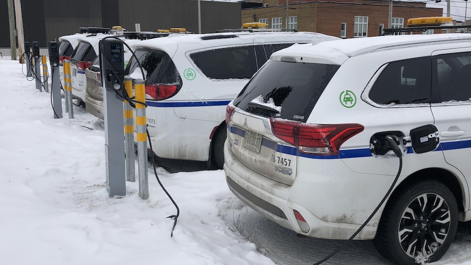 Des voitures électriques sont garées à proximité de bornes de recharge. 
