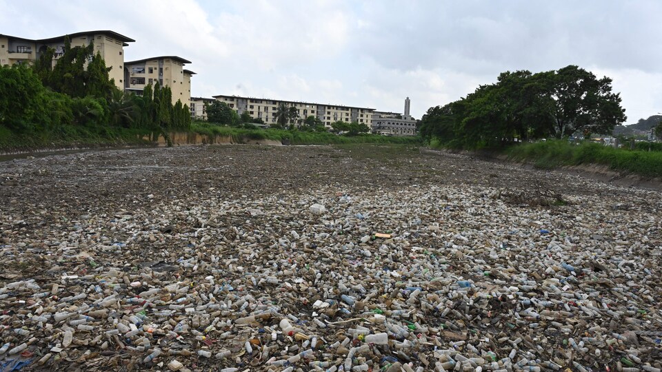 Decenas de miles de botellas de plástico cubrían el suelo.