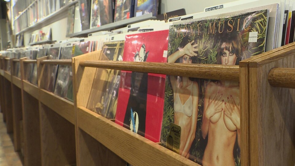 Des pochettes de disque vinyles dans un présentoire chez un disquaire.