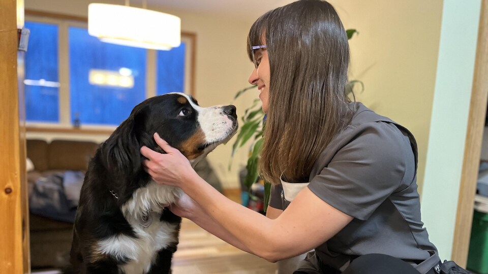Un chien bouvier bernois regarde dans les yeux d'une femme qui sourit.