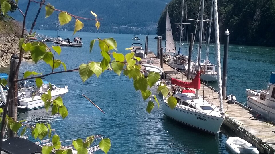 Une île, des voiliers et des arbres.
