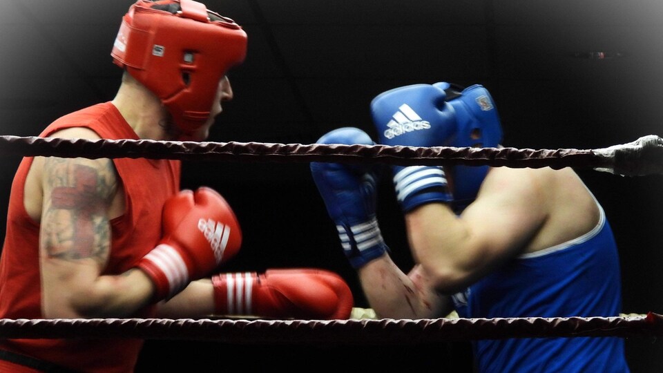 Deux boxeurs, munis de casques de protection, s'affrontent dans un ring.