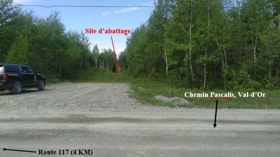 Une photo montre le site d'abattage au fond, le chemin Pascalis en premier plan et la direction de la route 117.