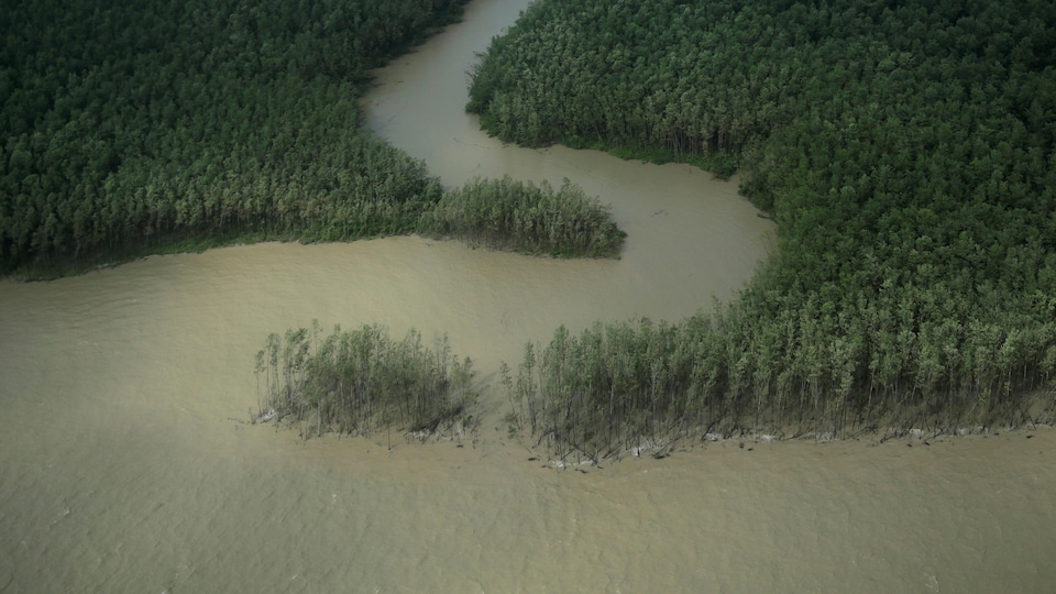 Une rivière atteint l'océan Atlantique dans l'État d'Amapa, au Brésil.  