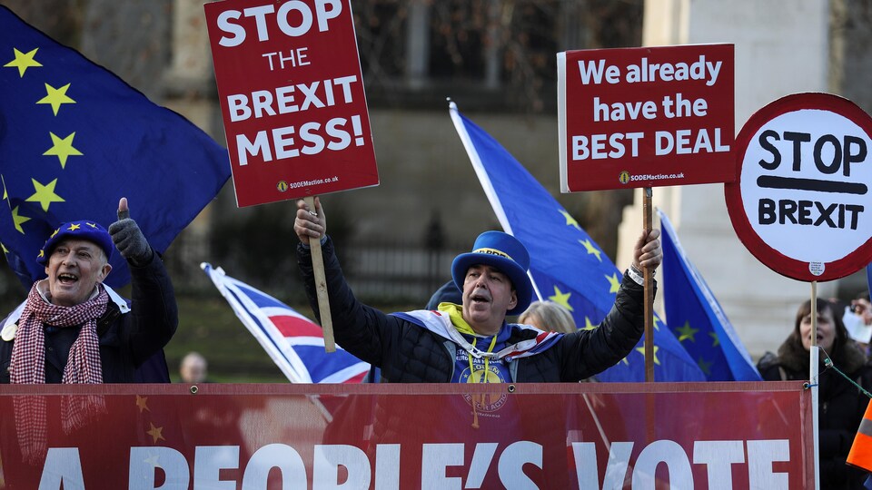 Sur leurs pancartes, on peut lire : « Arrêtez la pagaille du Brexit » et « Nous avons déjà le meilleur accord ».