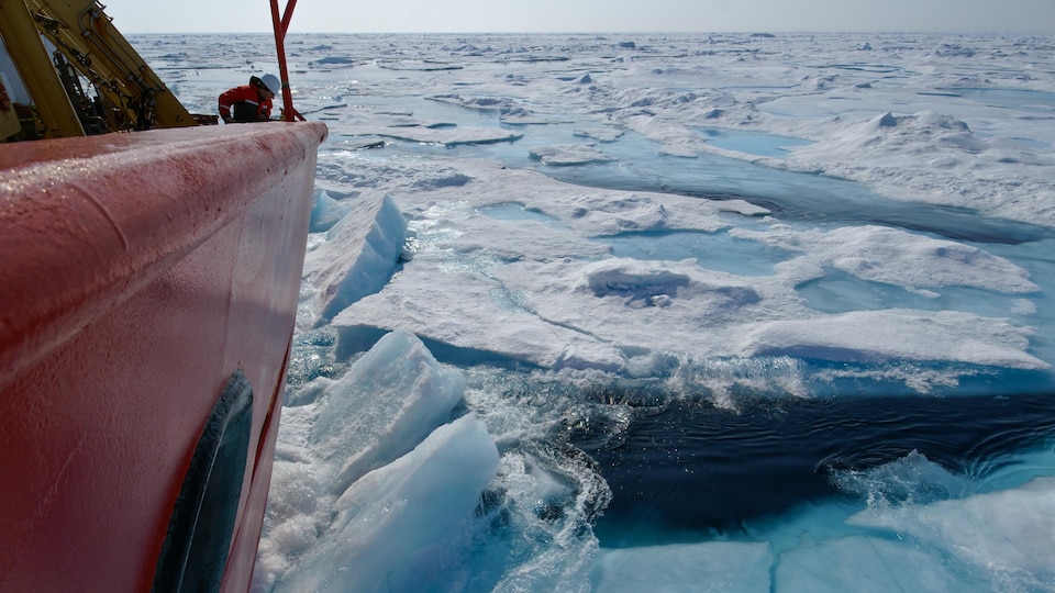 Le brise-glace Amundsen dans l'océan Arctique.