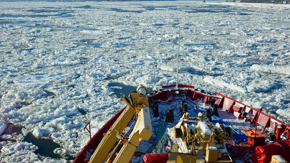 Le brise-glace Amundsen sur le fleuve Saint-Laurent