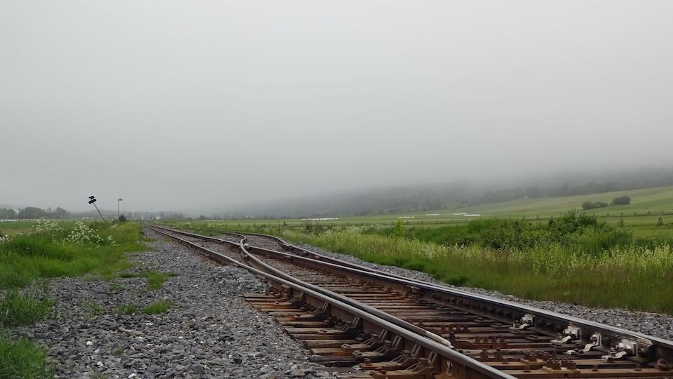 Chemin de fer et paysage dans le brouillard