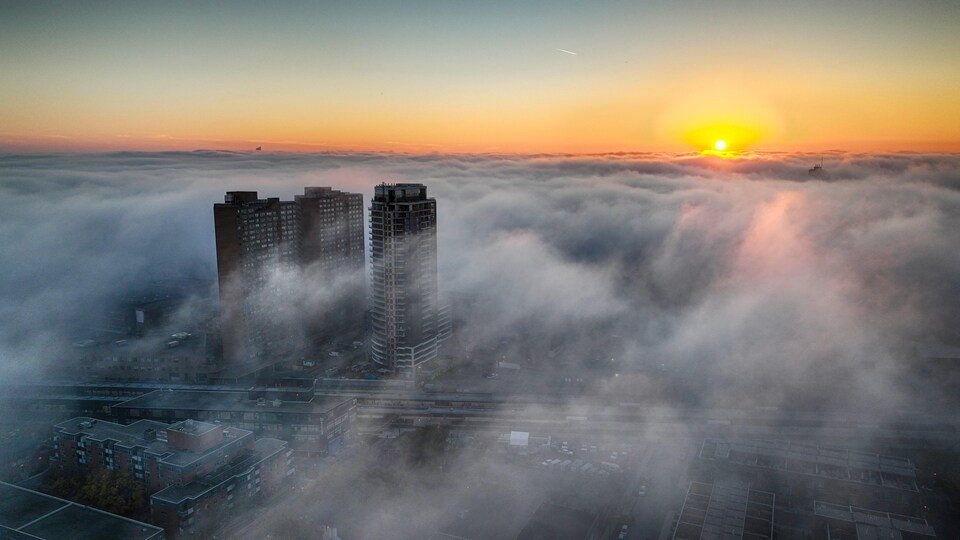 Vue aérienne sur un quartier de l'ouest de Toronto avec deux tours d'appartements qui percent un manteau de brouillard à la tombée du jour.