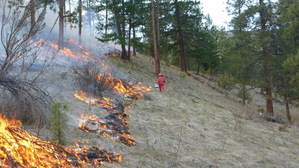 Une personne allume un feu sur une colline.