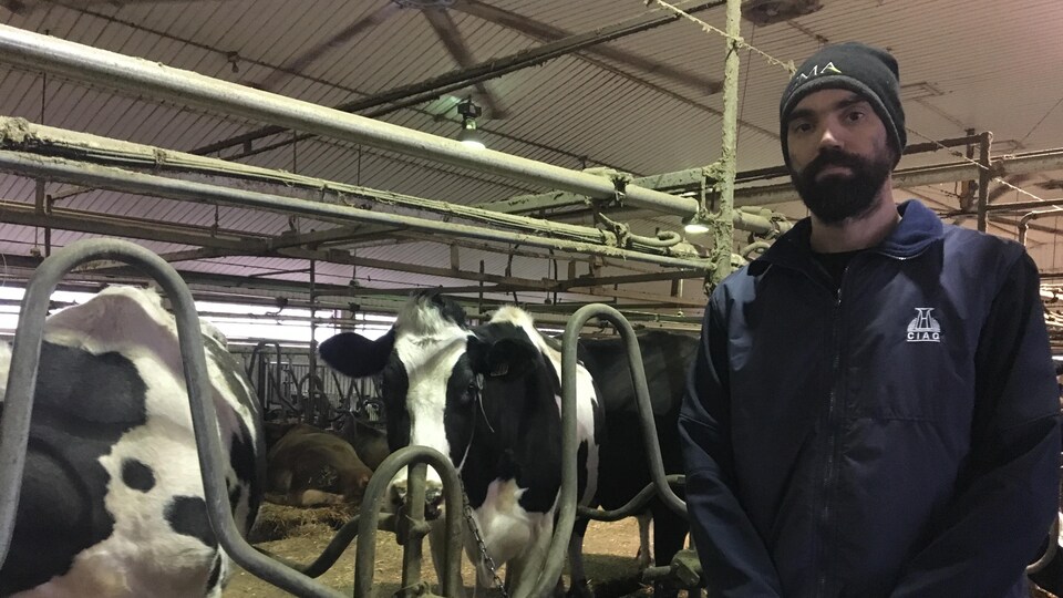 Un homme se tient debout dans sa ferme. Derrière, il y a des vaches laitières.