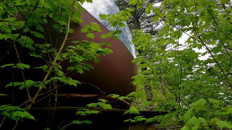 La bulle sur une plateforme de bois dans la forêt.