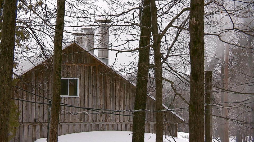 Une cabane à sucre en hiver