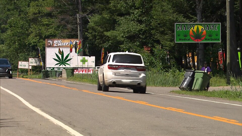 Le long d'une route bordée d'arbres, plusieurs panneaux arborant une feuille de cannabis avertissent les automobilistes de la présence de « cabanes à pot ».