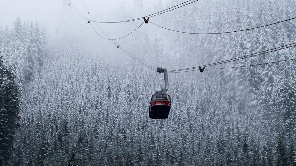 Une cabine de téléphérique au dessus d'une forêt enneigée.