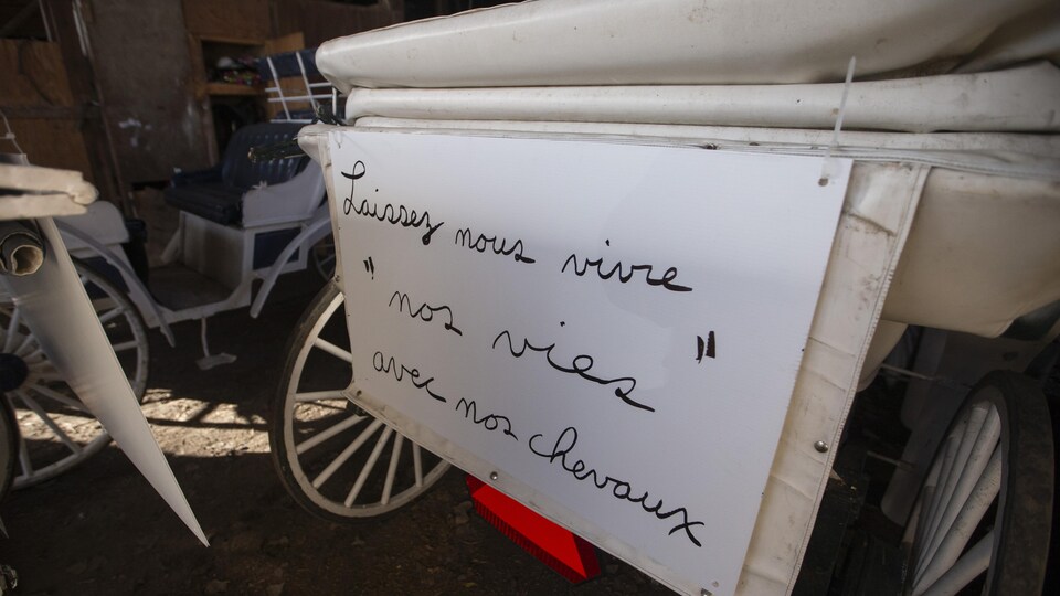 Derrière d'une calèche où est fixé une pancarte sur laquelle on peut lire : « Laissez nous vivre nos vies avec nos chevaux ».