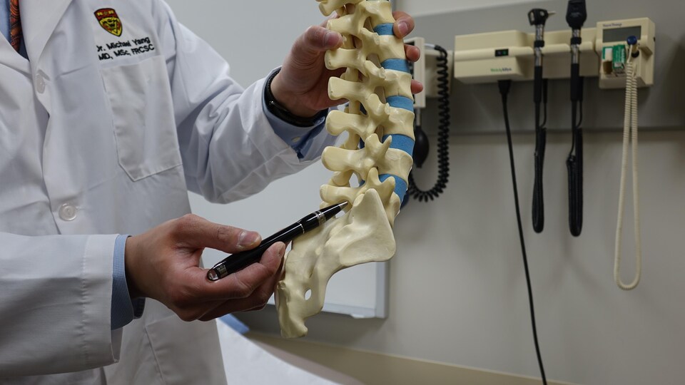 Un médecin pointe avec un stylo à une vertébrale sur une maquette de colonne vertébrale.