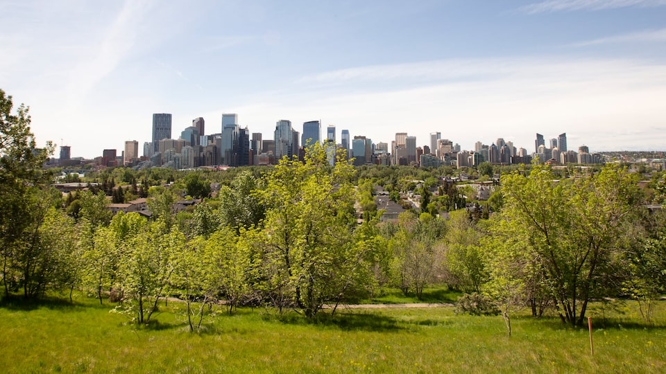 Une vue de la ville de Calgary.