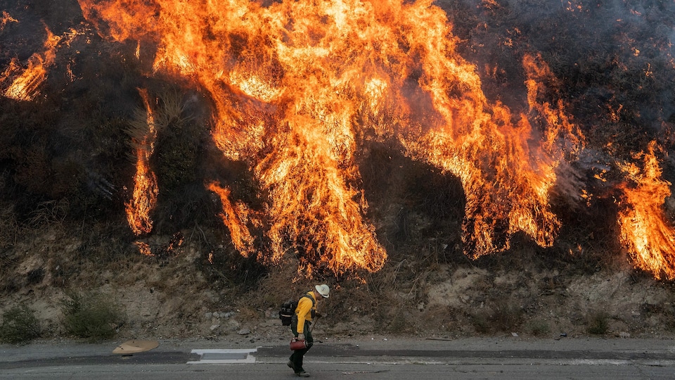 https://images.radio-canada.ca/q_auto,w_960/v1/ici-info/16x9/californie-feu-pompier.jpg