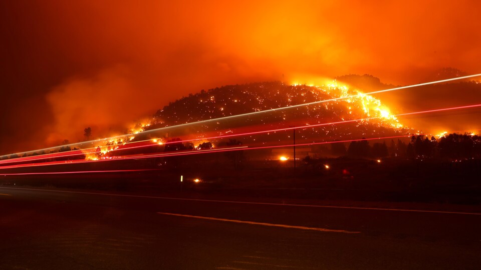 Une colline boisée ravagée par le feu.