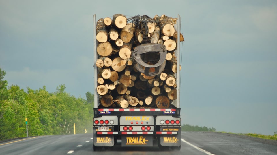 Un camion transportant du bois.