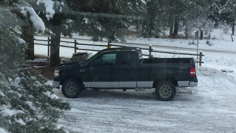 La Ford F-150 est garée sous un arbre sur un emplacement enneigé.