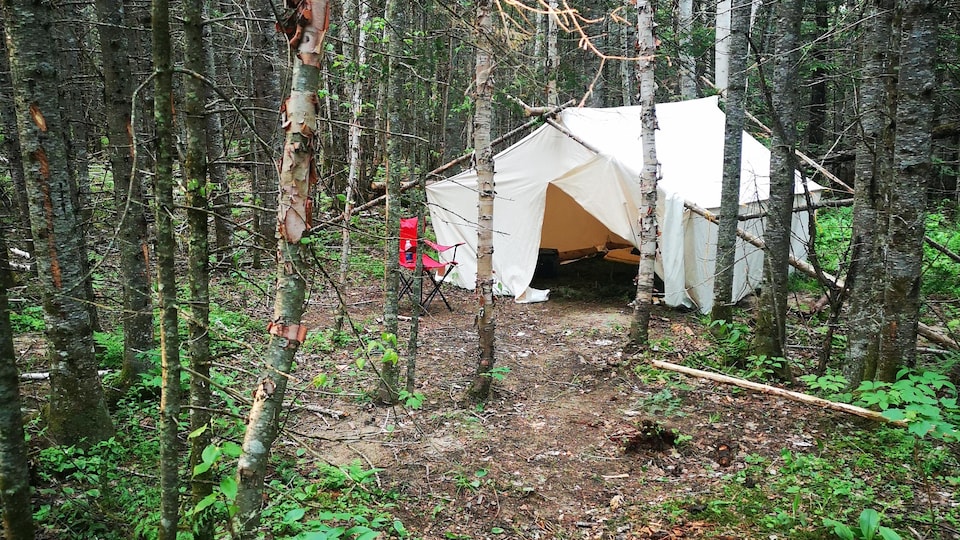 A native camp in the forest.